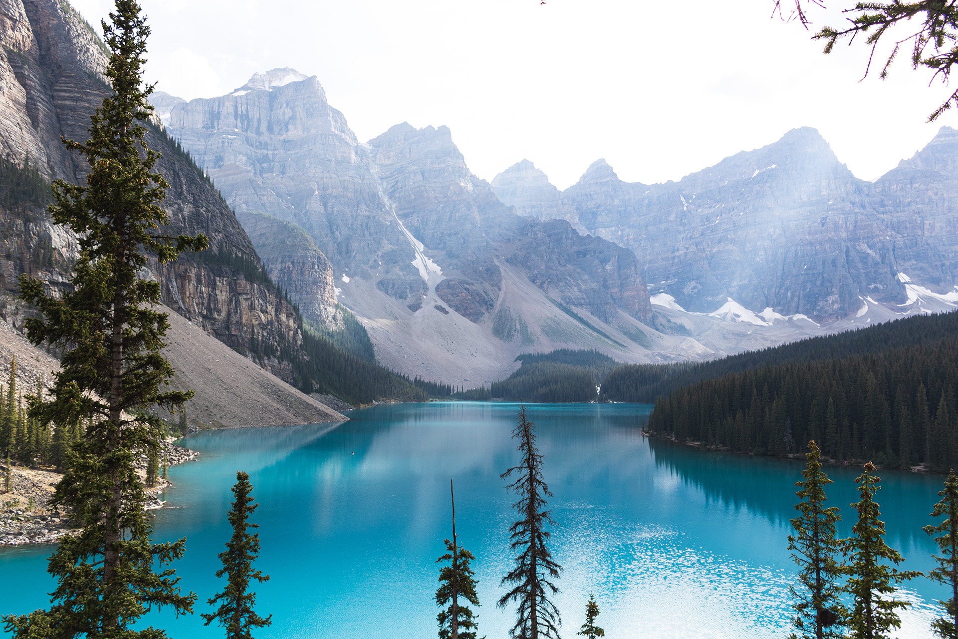 Vibrant blue lake with rocky mountains surrounding it and fern trees around the edges of the foreground.